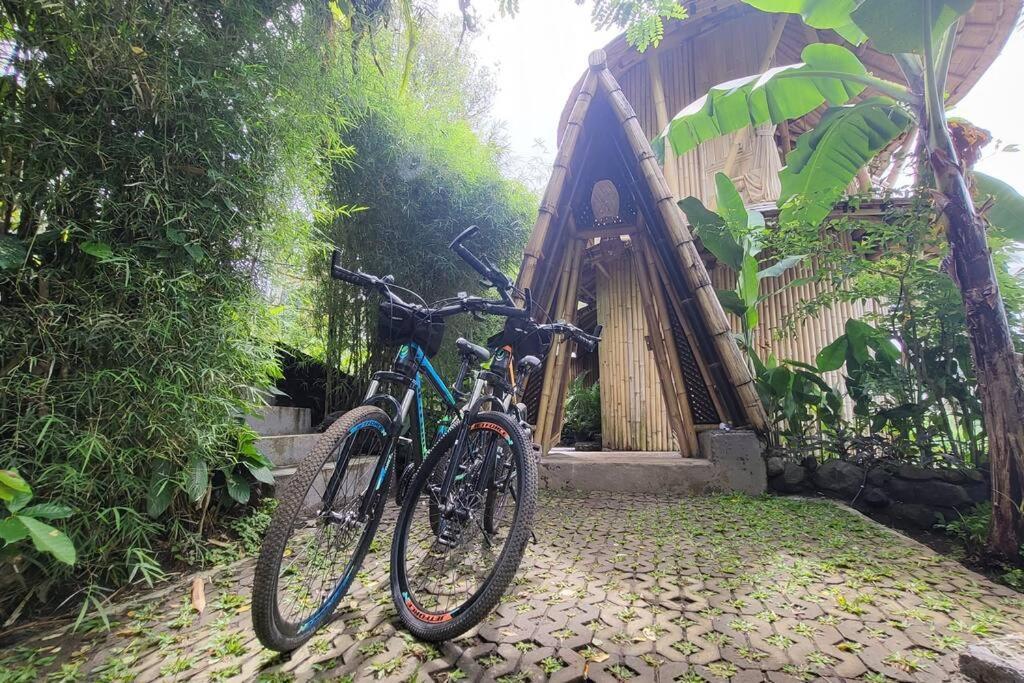 The Nude House Villa Selat Ngoại thất bức ảnh